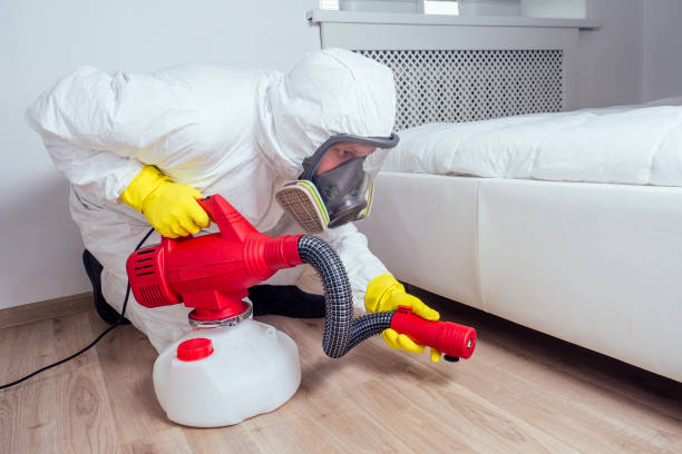 Best Flea Control Services  in Seaside Park, NJ